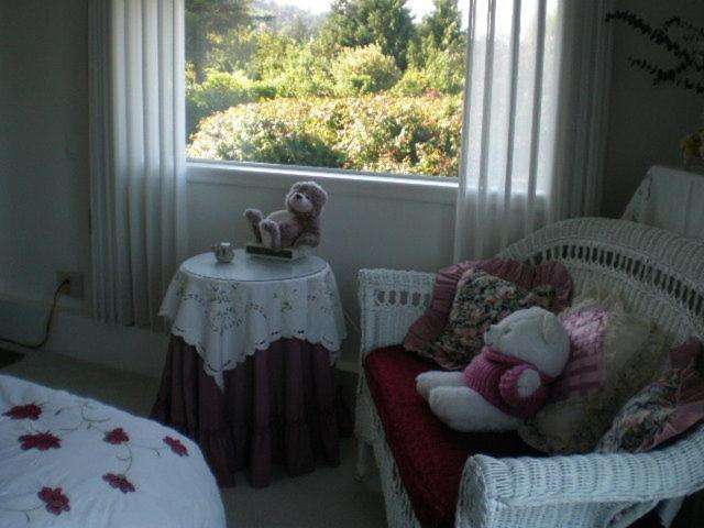 Island View B&B Nanaimo Quarto foto